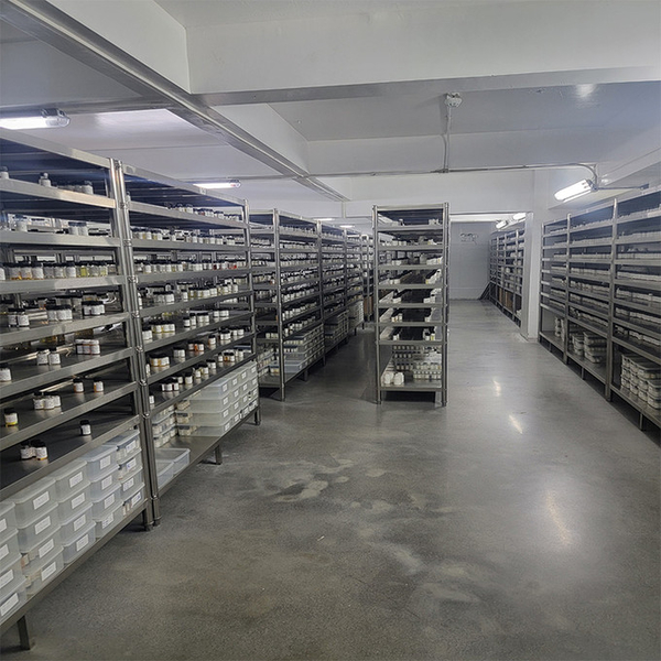 Guangzhou plant fragrance Co., Ltd lini produksi pabrikan