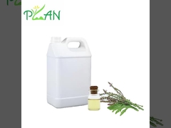 Minyak Esensial Verbena Ramah Lingkungan