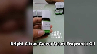 minyak wangi lilin jambu biji