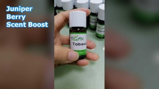 Minyak Wangi Juniper Berry Untuk Produksi Sabun Shampo