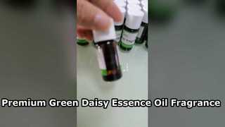 Minyak Esensi Daisy Hijau Profesional untuk Pembuatan Parfum