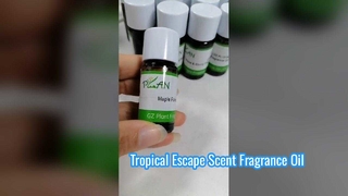 Esensi Wangi Lilin Bunga Jahe