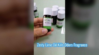 Minyak Wangi Jeruk Nipis Kesegaran Zesty Menghilangkan Bau