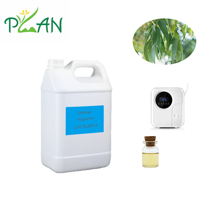 Eucalyptus Diffuser Perfumes Pure Natural France Tea Tree Oil Perfume