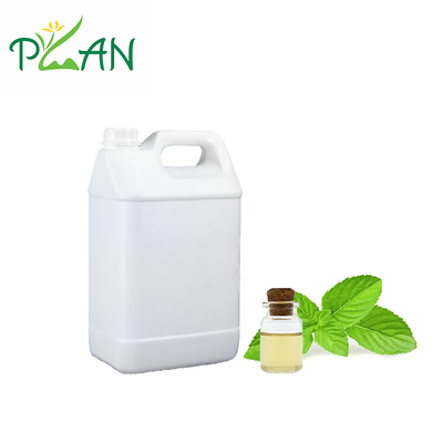 Ekologi ramah Menta Aroma Minyak Pepper Light Menta Aroma Esensi Minyak