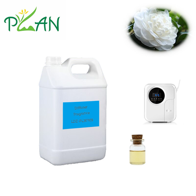 100% Pure White Tea Fragrance Essence Oil Bunga Minyak Esensial Beraroma