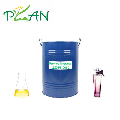 Sampel Gratis Long Lasting Midnight Parfum Branded Imitasi Minyak Perfume Wanita