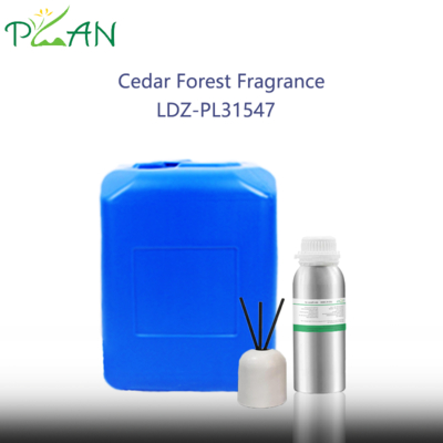 Premium Cedar Forest Aroma Aroma Untuk Reed Sticks & Diffuser Bau Lama