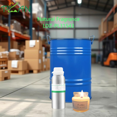 10 ml minyak wangi terkonsentrasi alami untuk diffuser & reed stick