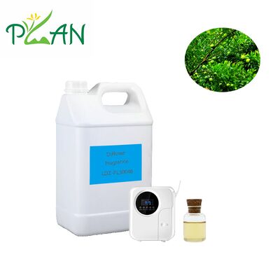 Aroma Pewangi Diffuser Reed Tahan Lama Aroma Kebun  Minyak Esensial Untuk Diffuser & Lilin Beraroma & Stik Reed