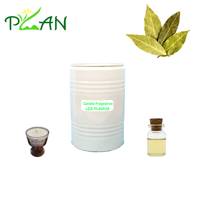 Lilin minyak wangi Daun kayu manis Esensi Untuk proses panas Lilin beraroma Produksi