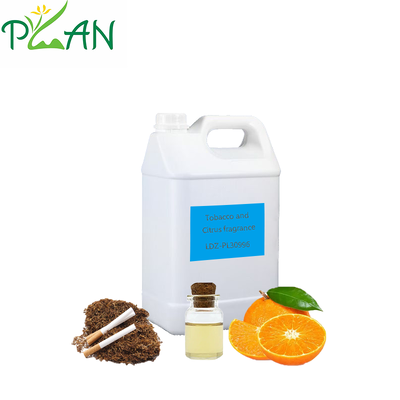 Sampel Gratis Diffuser Wewangian Tembakau & Wewangian Jeruk Untuk Reed Stick & Lilin Beraroma Dingin & Pembuatan/Produksi Wewangian Diffuser 